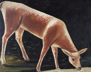Reh trinkt von Niko Pirosmani
