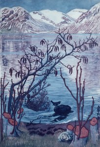 Vogel auf Stein