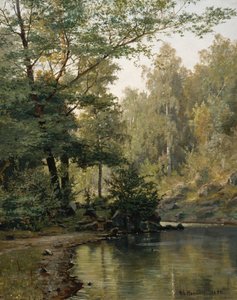 Waldsee von Nils Hansteen