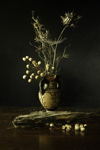  von Noam Mymon