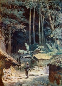 In den Tiefen eines melanesischen Waldes, 1908 von Norman Hardy