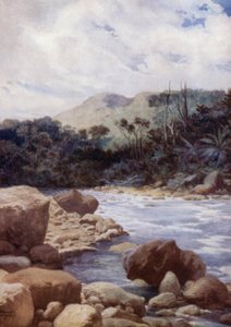 Die Stromschnellen, Williams River, Insel Eromanga, Neue Hebriden (Farblithografie) von Norman Hardy