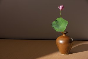 Persimmon-glasierte Meiping
