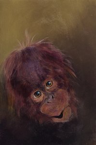 Baby-Orang-Utan 2, 2010
