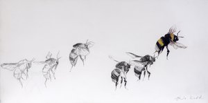 Flugmuster, 2014