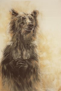 Grizzlybär 1, 2002