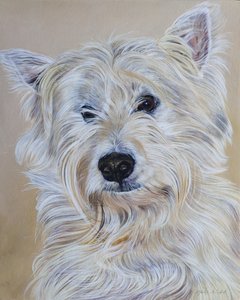 Hamish, 2011