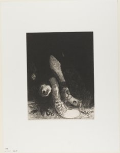 Blumen fallen und der Kopf einer Python erscheint, Platte 5 von 24 von Odilon Redon