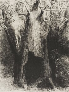 Ich tauchte in die Einsamkeit ein. Ich wohnte im Baum hinter mir, Platte 9 von 24