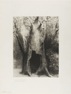 Ich tauchte in die Einsamkeit. Ich wohnte im Baum hinter mir, Platte 9 von 24 von Odilon Redon