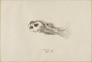 Menü eines Abendessens für französische Lithographen, 1. April 1887 von Odilon Redon