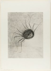 Spinne