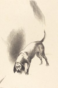 Der Hund von Odilon Redon