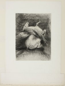 Der impotente Flügel hob das Tier nicht in diesen schwarzen Raum, Platte 7 von 8 aus "Les Origines" von Odilon Redon