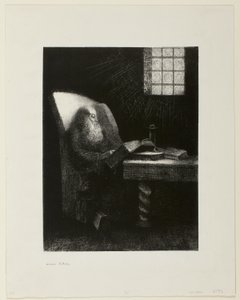 Der Leser