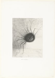 Die Spinne