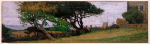 Landschaft bei Castiglioncello, Italien von Odoardo Borrani
