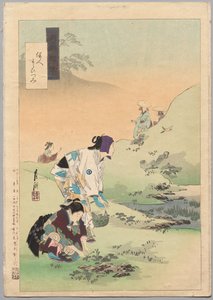Schönheiten beim Ernten von Farnen, aus der Serie Gekkōs Miscellaney von Ogata Gekko