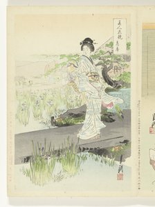 Irisgarten (Vergleiche zwischen Schönheiten und Blumen) von Ogata Gekko