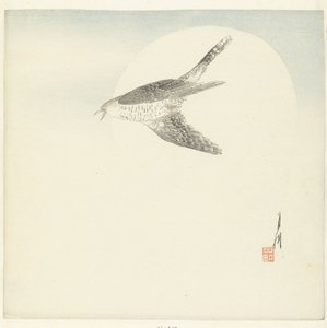 Kuckuck fliegt bei Vollmond von Ogata Gekko