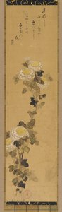 Chrysanthemen von Ogata Kenzan