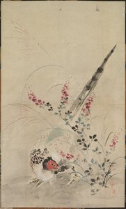 Fasan und Gräser, spätes 17. - frühes 18. Jahrhundert von Ogata Korin