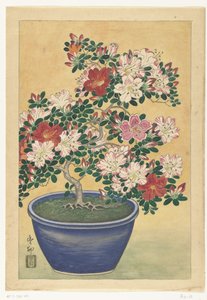 Blühende Azalee in blauem Topf von Ohara Koson (signed by artist)