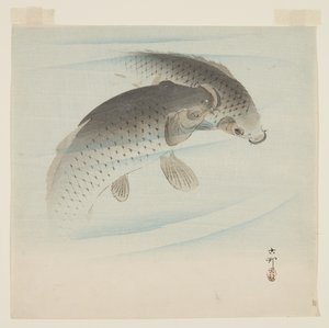 Karpfen von Ohara Koson