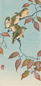 Fünf kleine Vögel auf einem Zweig, von dem japanischen Künstler Ohara Koson