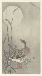 Gans bei Vollmond von Ohara Koson