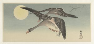 Gänse bei Vollmond