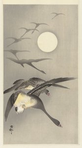 Gänse bei Vollmond