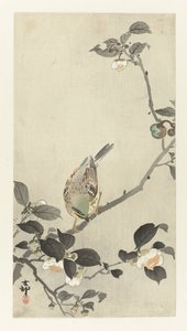 Gimpel auf einem Blütenzweig von Ohara Koson
