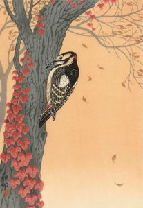 Buntspecht im Baum mit rotem Efeu, 20. Jahrhundert (japanischer Druck)