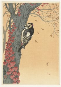 Großer Buntspecht in Baum mit rotem Efeu von Ohara Koson