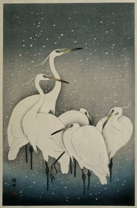 Gruppe von Reihern von Ohara Koson