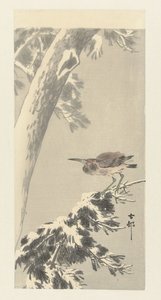 Indischer Nachtreiher auf verschneitem Ast von Ohara Koson