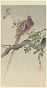 Kupferfasan von Ohara Koson