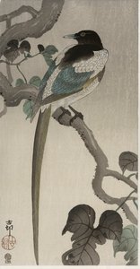 Elster auf einem Pauwlonia-Zweig (Farbholzschnitt) von Ohara Koson