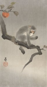 Affe in einem Obstbaum