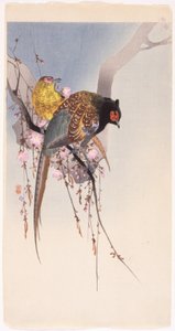 Fasane und Hängekirsche von Ohara Koson
