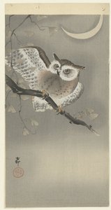 Waldohreule im Ginkgo von Ohara Koson