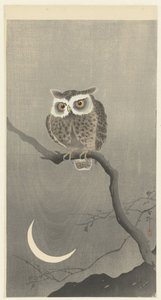 Zwergohreule auf einem Ast mit Halbmond von Ohara Koson