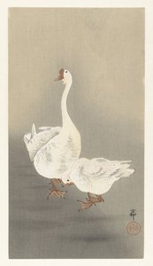 Zwei Gänse von Ohara Koson