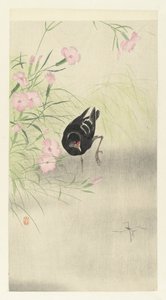 Teichhuhn bei blühender Pflanze von Ohara Koson