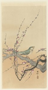 Singvogel und Pflaumenblüte von Ohara Koson