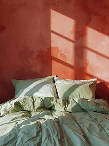 Sonnenbeschienene Grünes Schlafzimmer