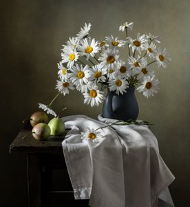 Rustikales Gänseblümchen Stillleben