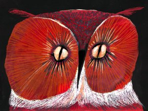 Intensive Rote Eule