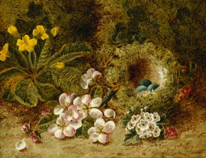 Apfelblüten, eine Primel und ein Vogelnest auf einem moosigen Ufer von Oliver Clare